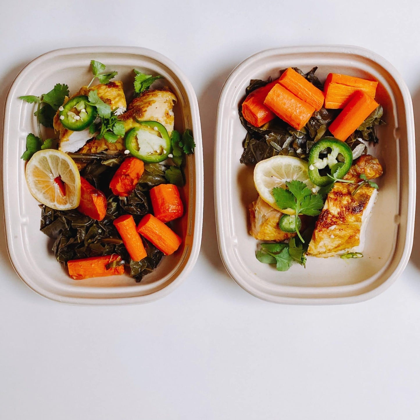Healthy Meal Deliveries in Oregon